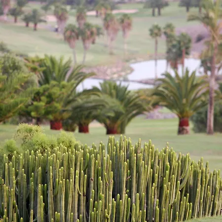 Terrazas 14 By Villagrancanaria וילה